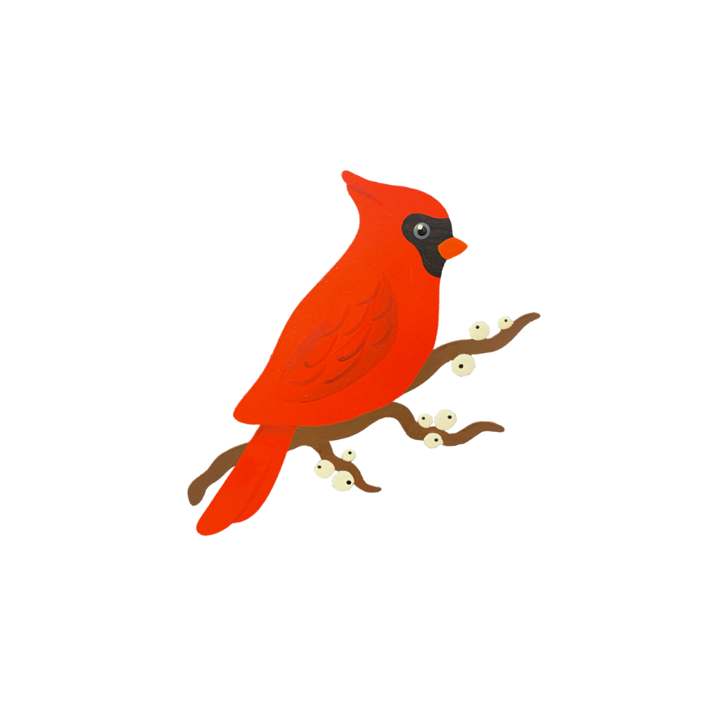 A red cardinal on a brown branch with white holly berries on a transparent background. 