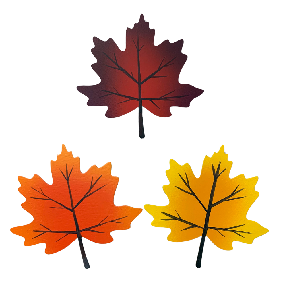 Three Maple Leaves on a transparent background