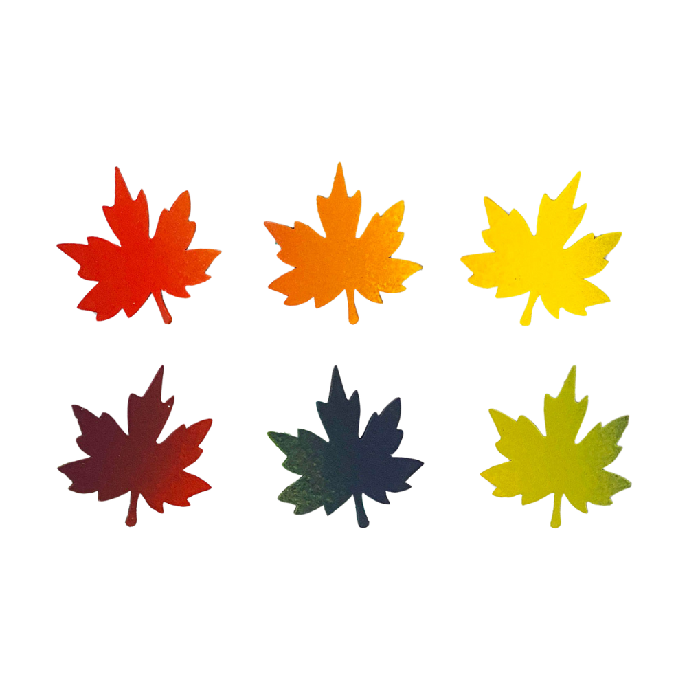 Six maple leaf magnets in fall colours. 